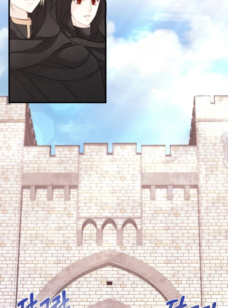 I Became The Black Swan Mother of The White Swan Princess Chapter 8 - page 33