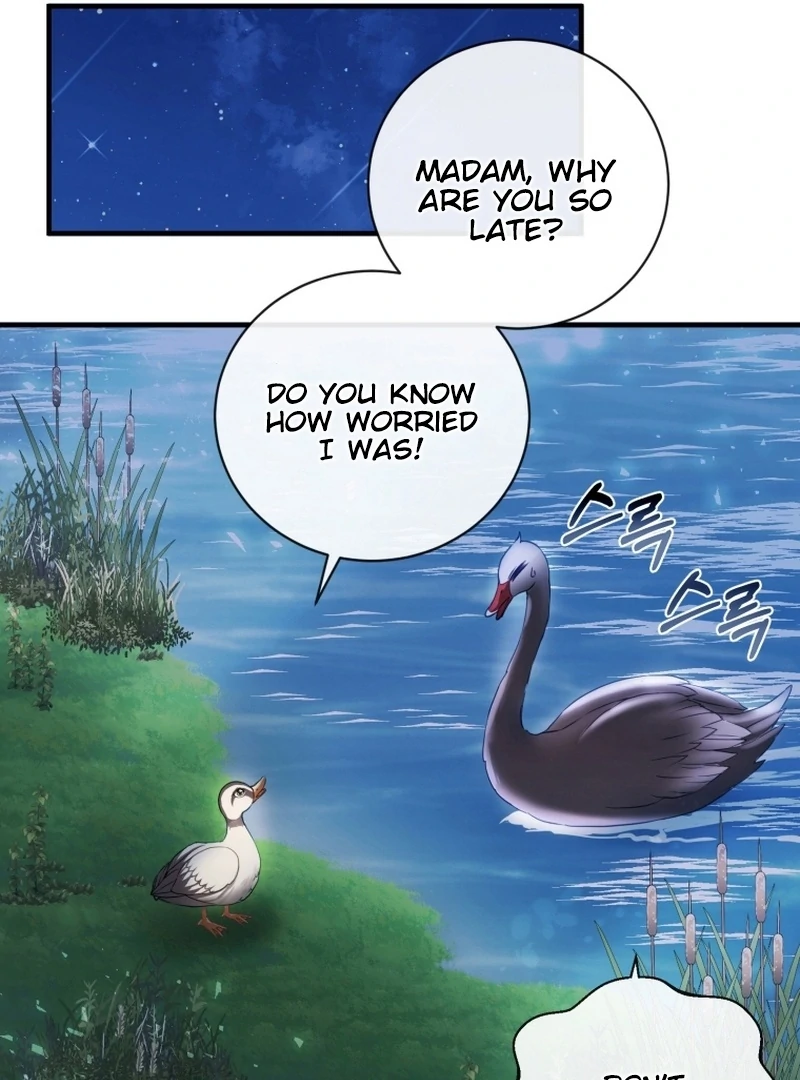 I Became The Black Swan Mother of The White Swan Princess Chapter 9 - page 71