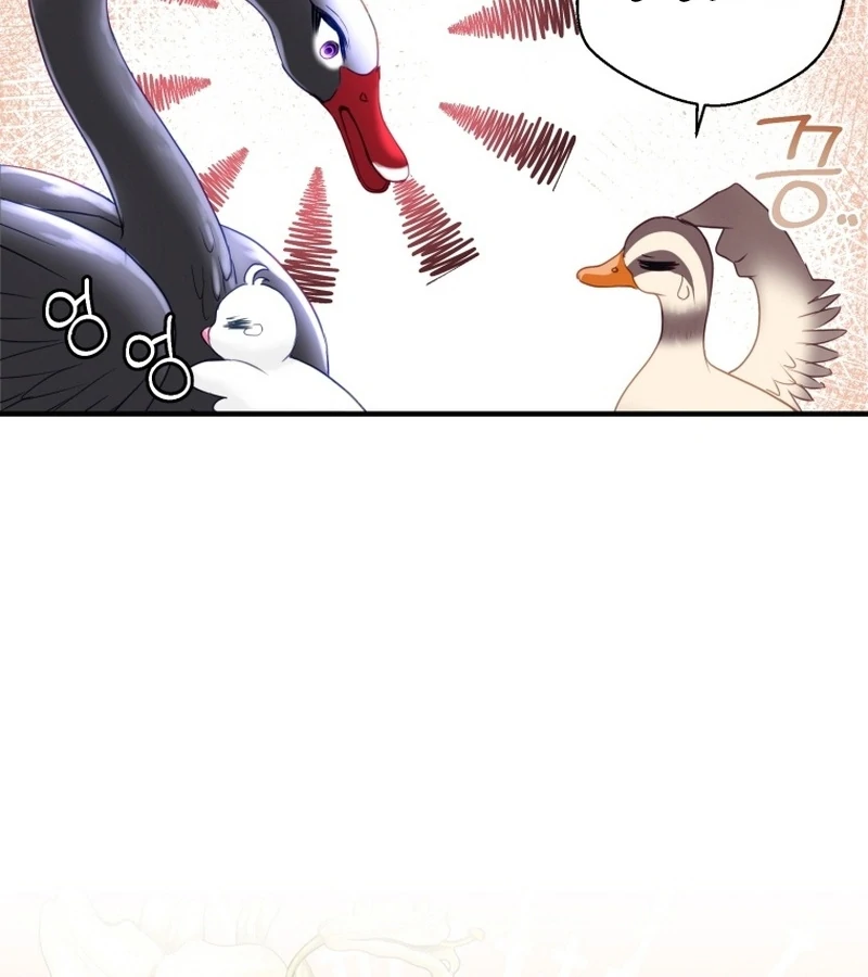I Became The Black Swan Mother of The White Swan Princess Chapter 9 - page 81