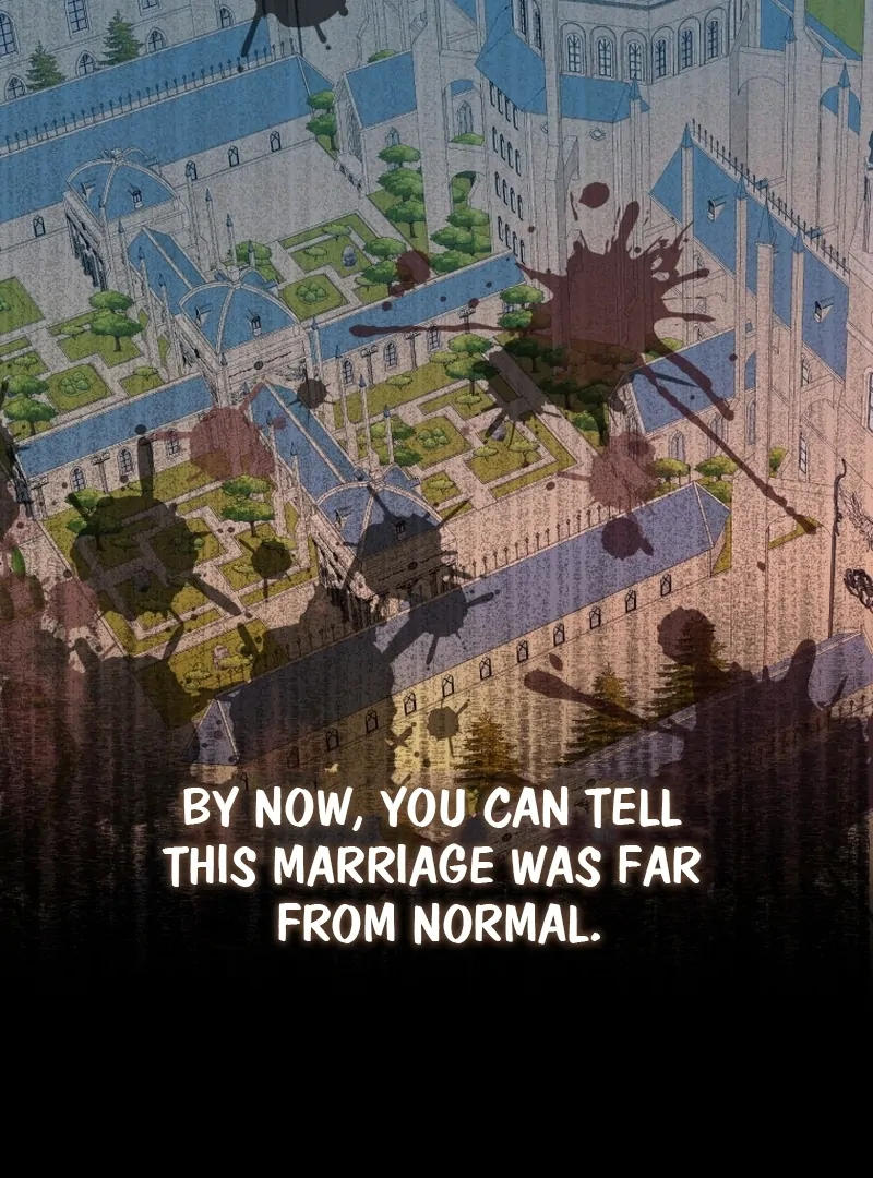 I Became The Black Swan Mother of The White Swan Princess Chapter 3 - page 13