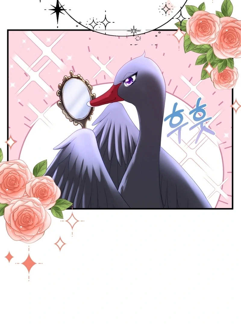 I Became The Black Swan Mother of The White Swan Princess Chapter 3 - page 58