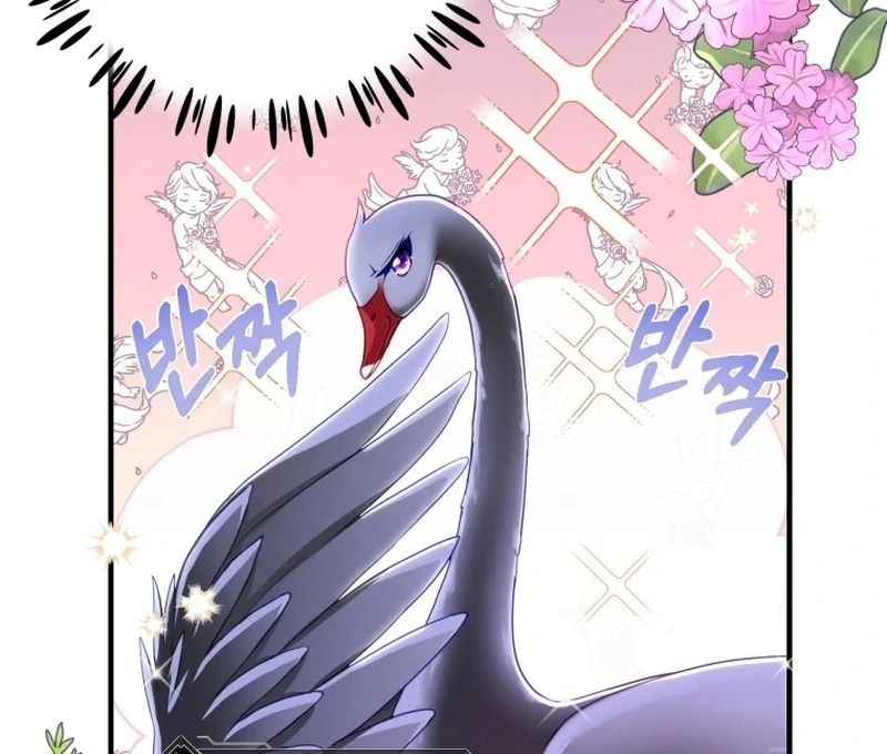 I Became The Black Swan Mother of The White Swan Princess Chapter 3 - page 62