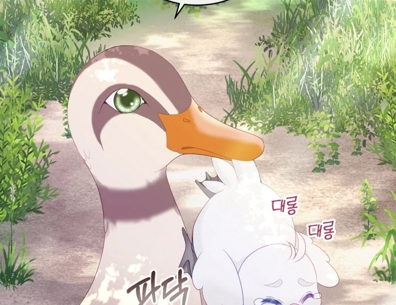 I Became The Black Swan Mother of The White Swan Princess Chapter 12 - page 28