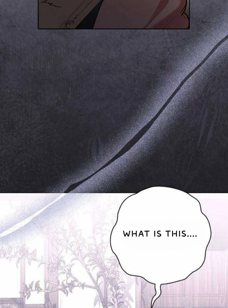 To My Husband’s Mistress Chapter 80 - page 74