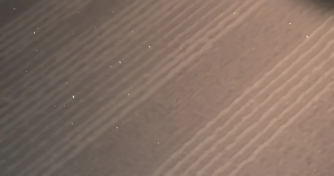 Lang Xiaojie He Ta De Huli Meimei Chapter 65 - page 74