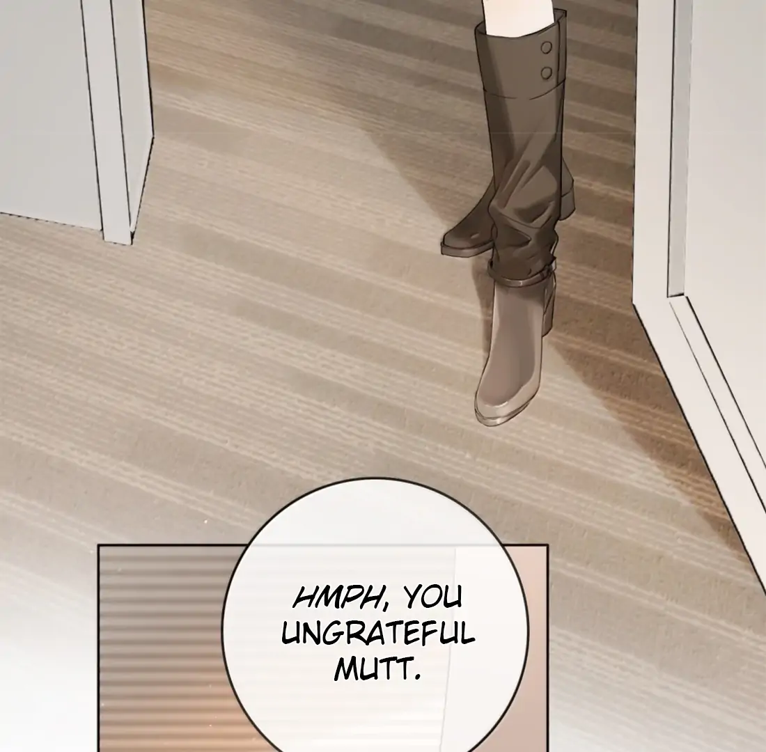 Lang Xiaojie He Ta De Huli Meimei Chapter 67 - page 15