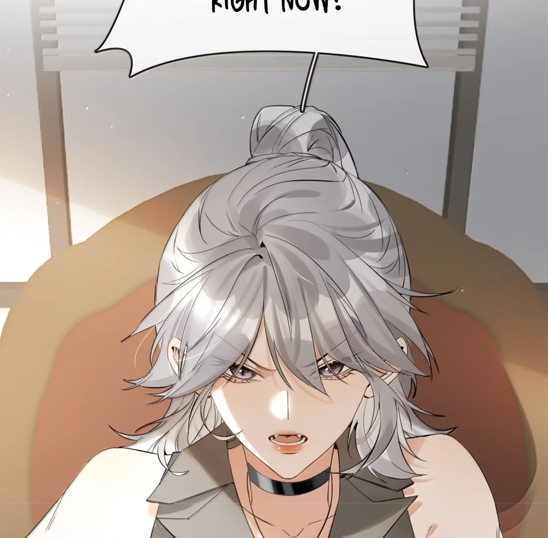 Lang Xiaojie He Ta De Huli Meimei Chapter 67 - page 4