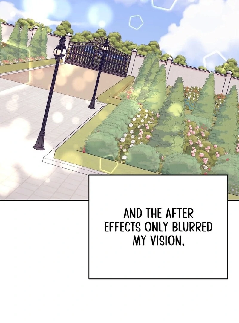 Husband Replacement Chapter 25 - page 46