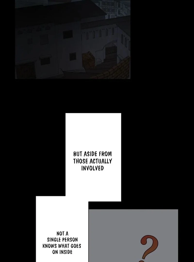 Masked Knight Will Never Deceive The Villainess Chapter 12 - page 30