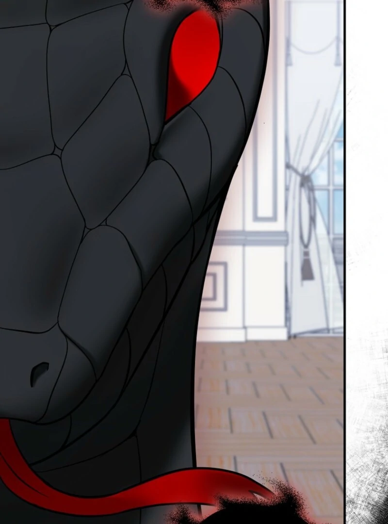 Villain Fiancé is in My Way of Happiness Chapter 56 - page 9