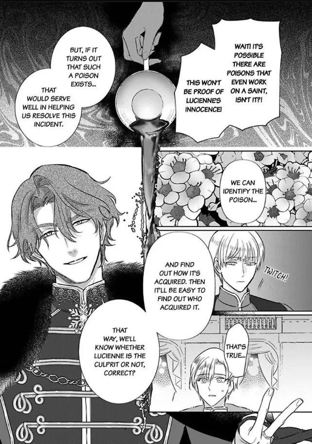 Ai ga Omoi Kishi Koushaku wa, Tsuihou Reijou no Subete wo Ubai Tsukushitai. Chapter 20 - page 15