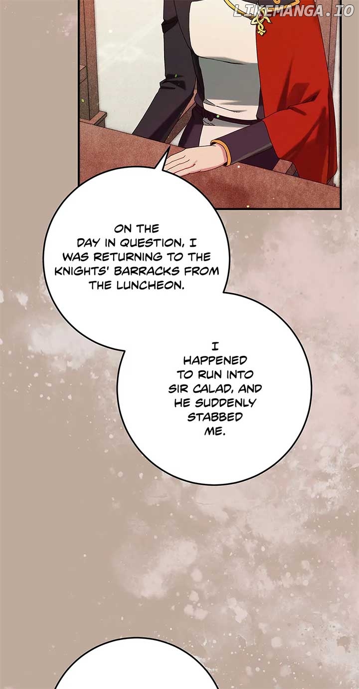 In the Midst of an Intended Marriage With My Time-Limited Lover Chapter 48 - page 25