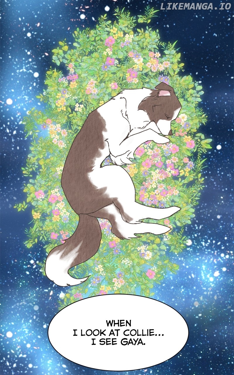 The Dog Diaries Chapter 209 - page 72