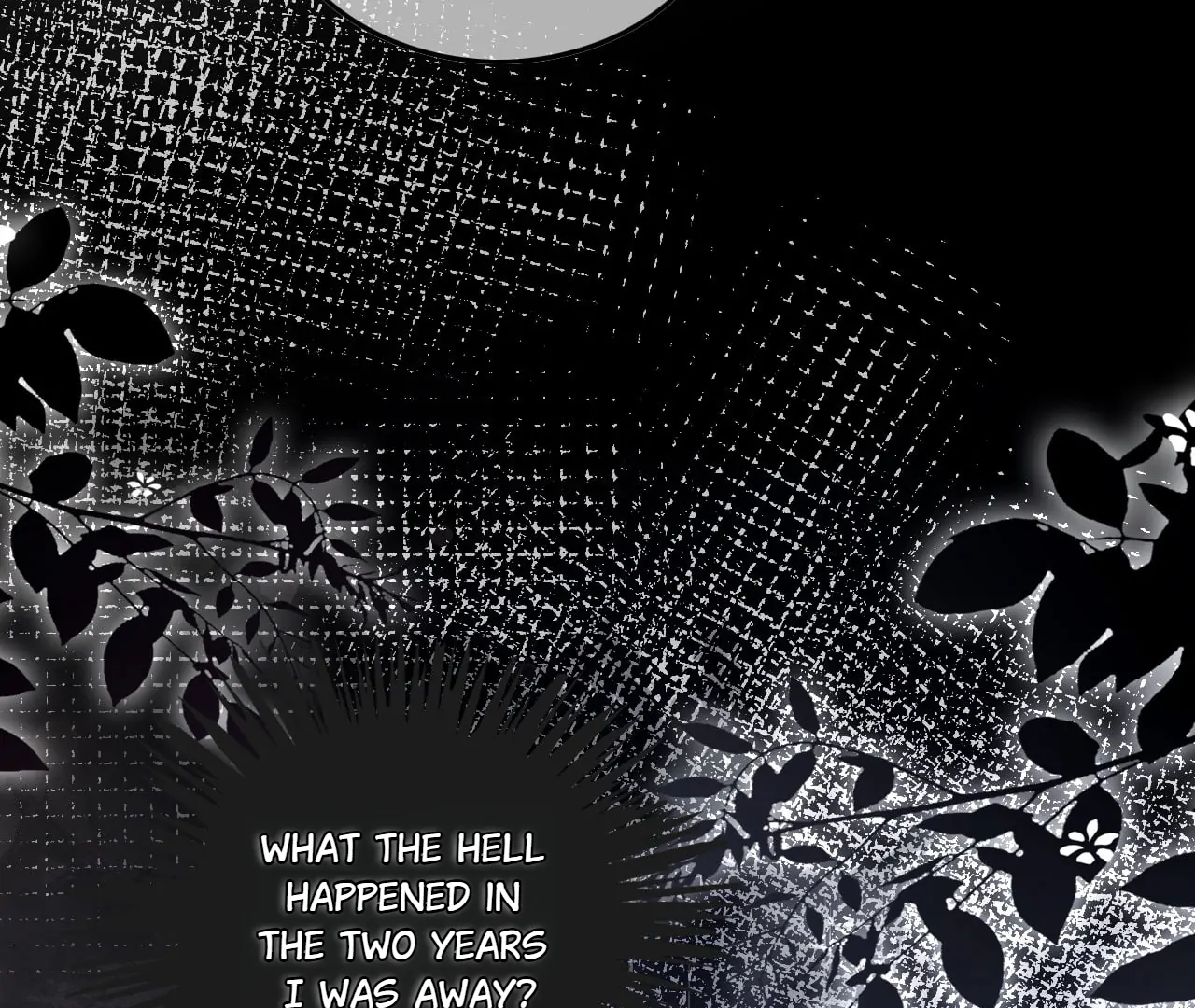 My Brothers Dote On Me Chapter 209 - page 55