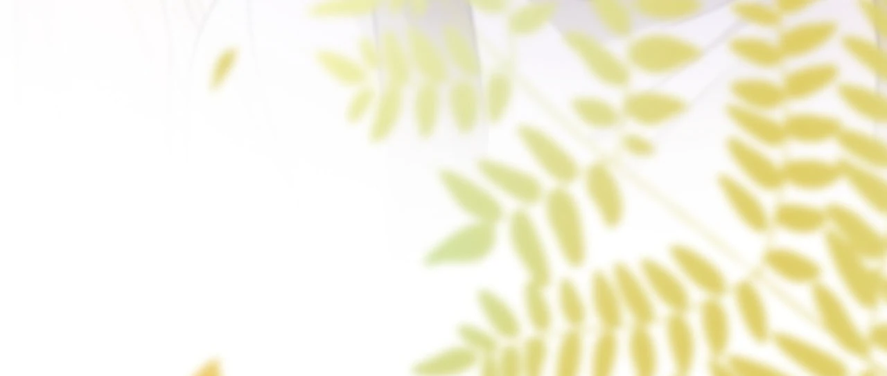 My Brothers Dote On Me Chapter 213 - page 65