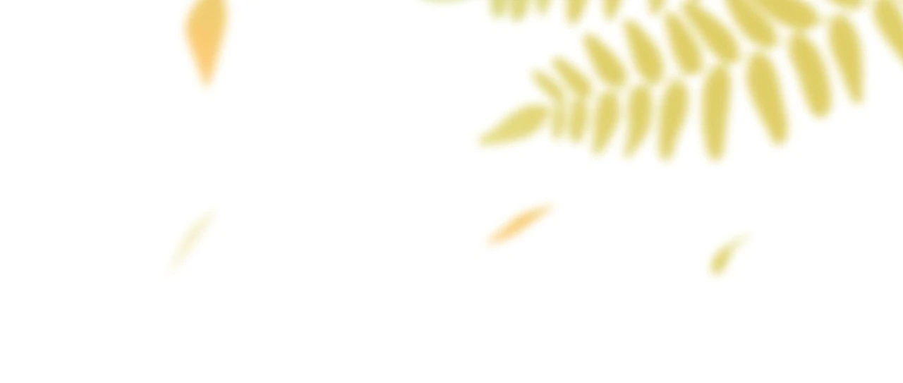 My Brothers Dote On Me Chapter 213 - page 66