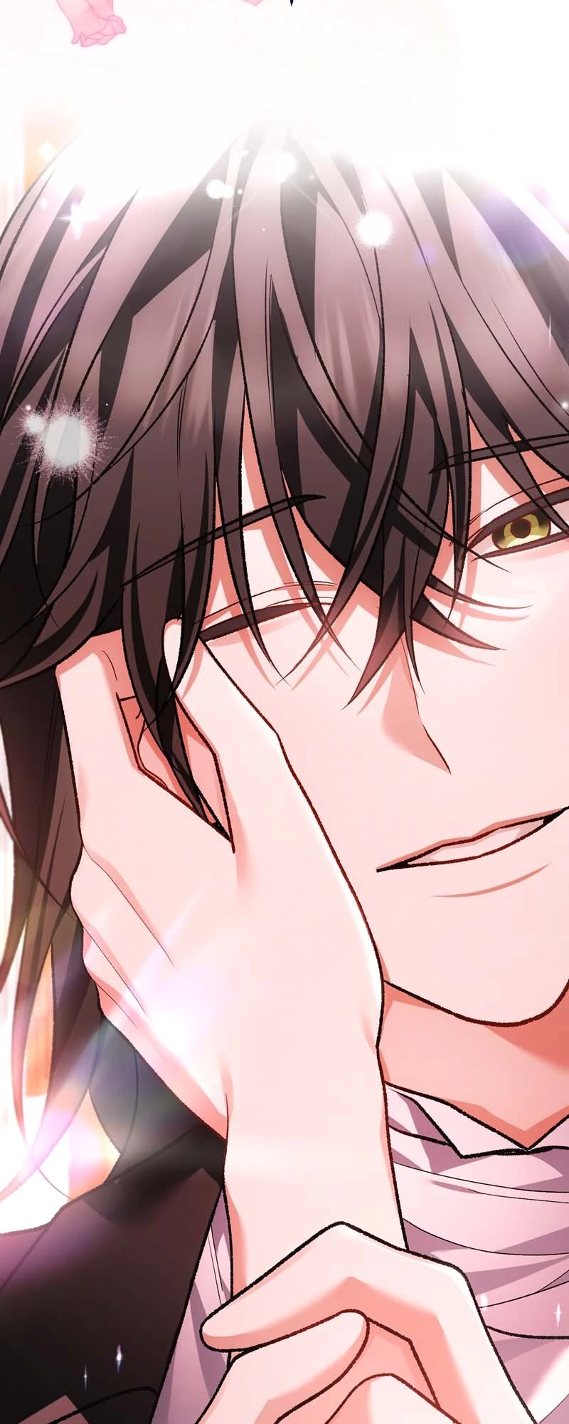 The Second Male Lead is Actually a Girl Chapter 70 - page 27