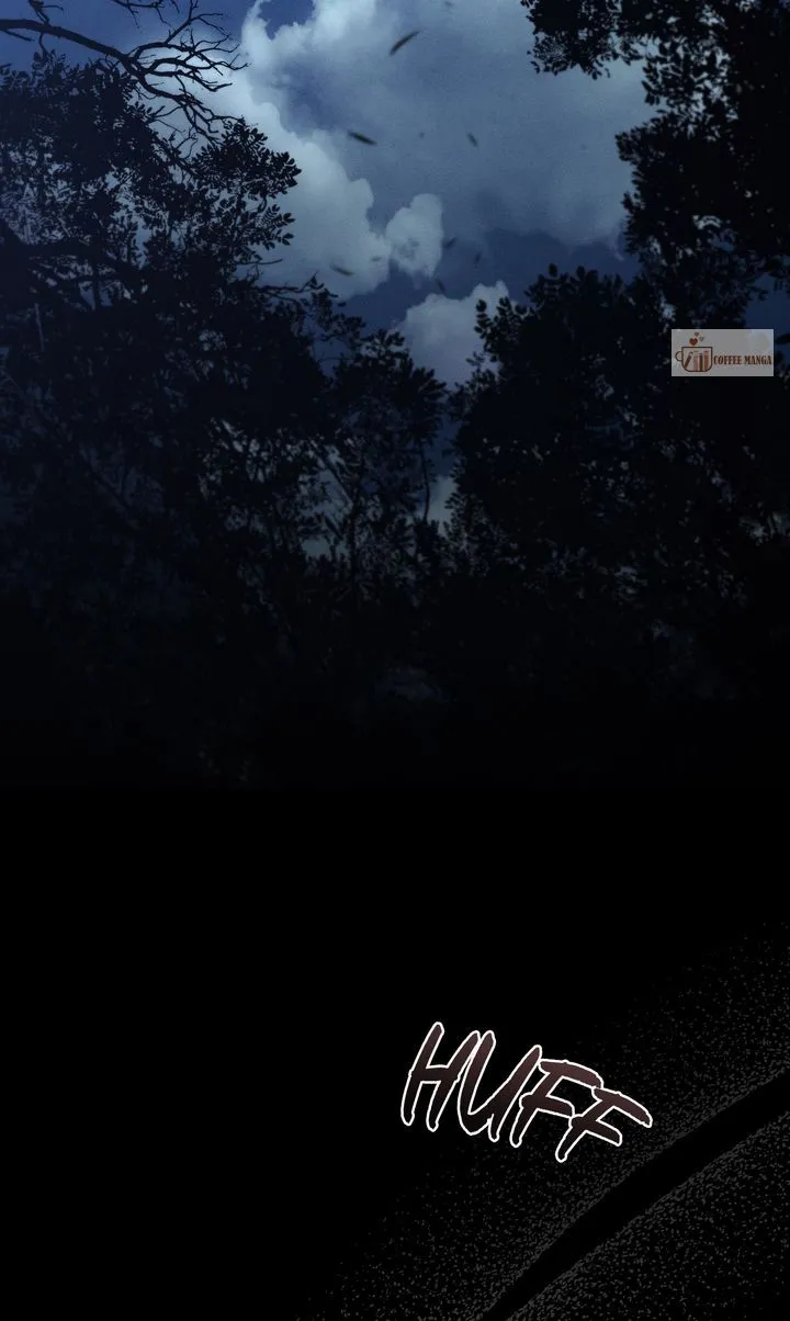 Werewolves Going Crazy over Me Chapter 61 - page 19