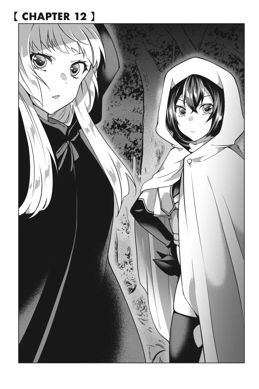 Rejected by the Hero's Party, a Princess Decided to Live a Quiet Life in the Countryside Chapter 12 - page 1
