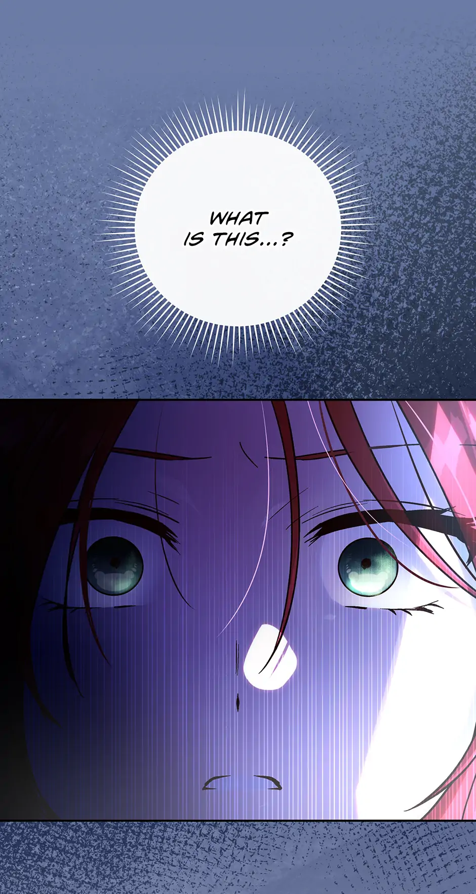 I Don’t Know, Shall We break Up Your Majesty? Chapter 40 - page 25