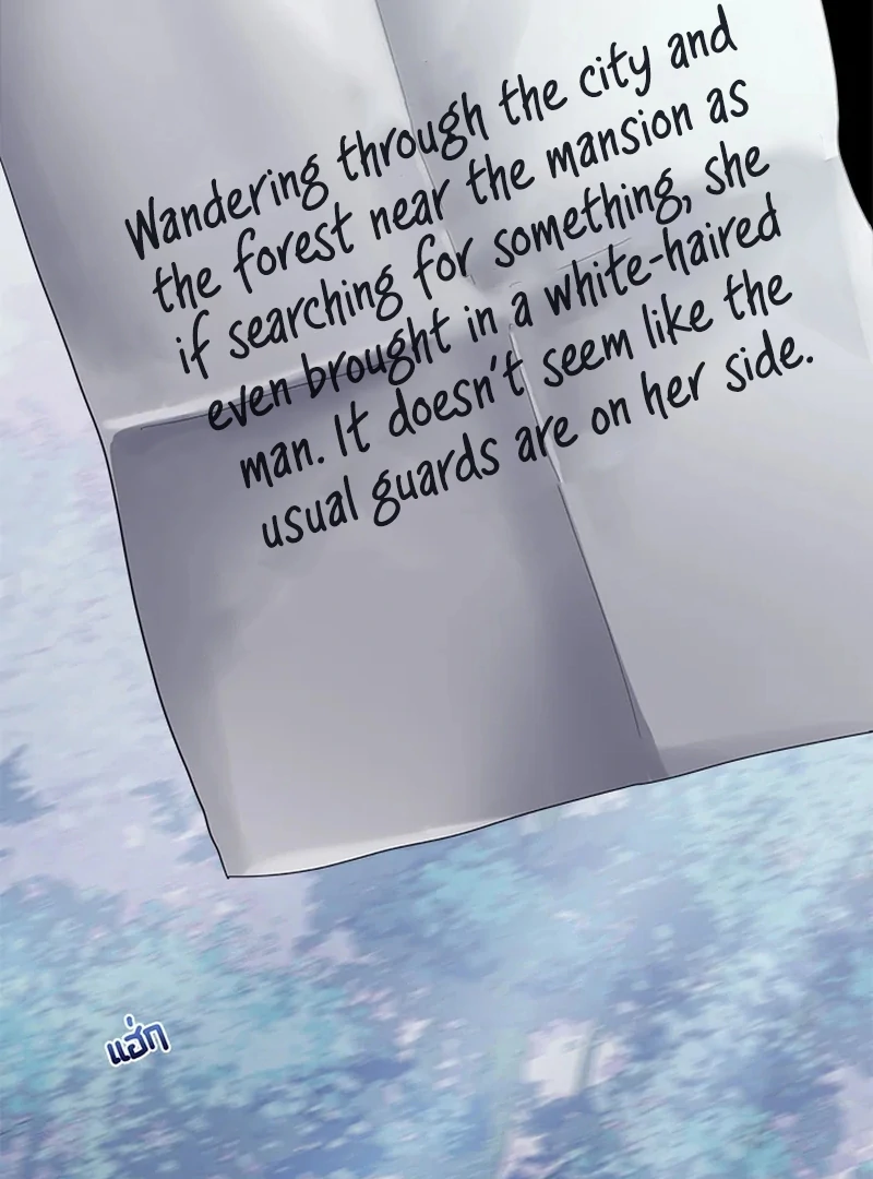 My Destiny, It's Time to Get It Back Chapter 24 - page 19