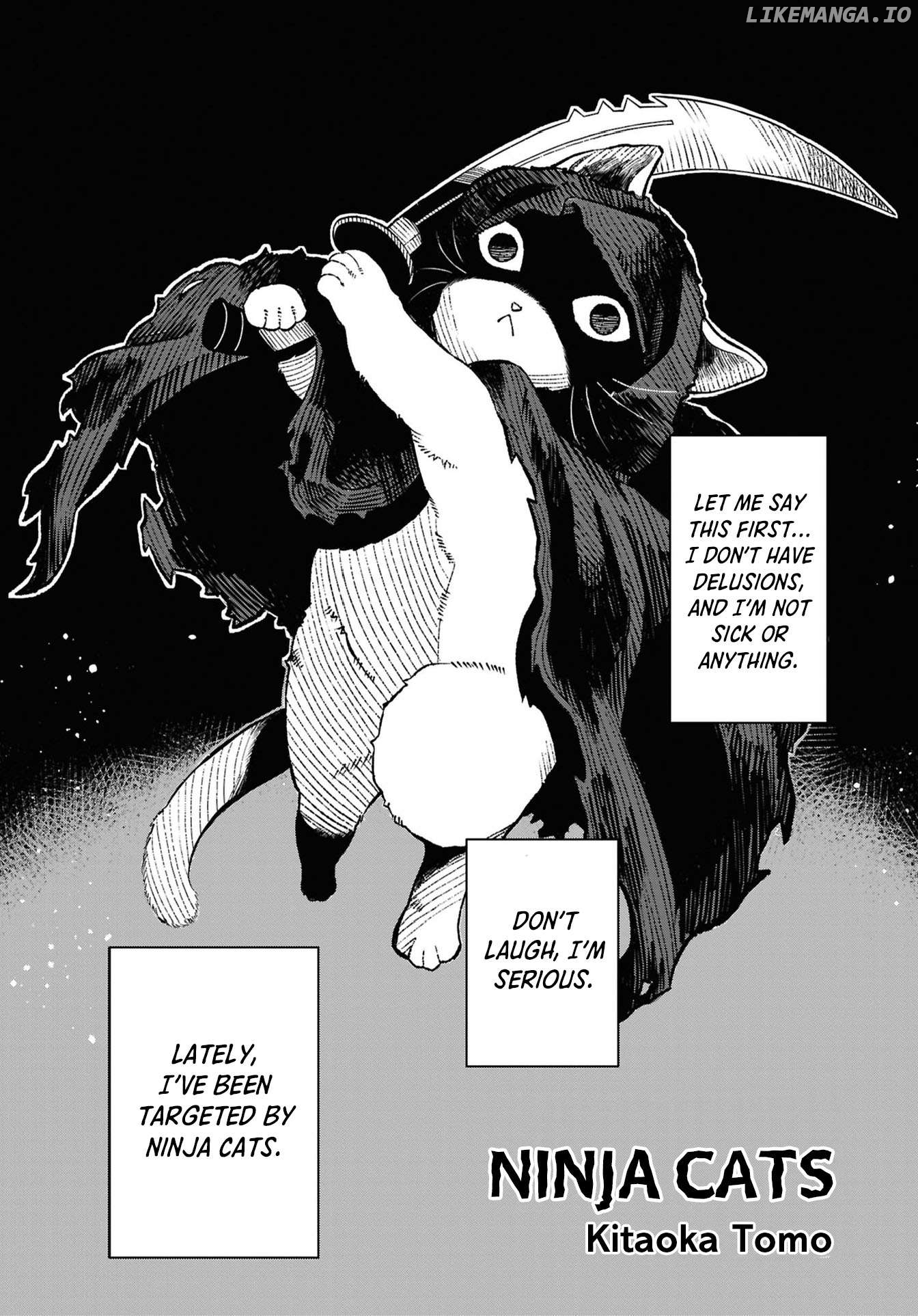 Creepy Internet Urban Legends: Horror Comic Anthology Chapter 9 - page 1