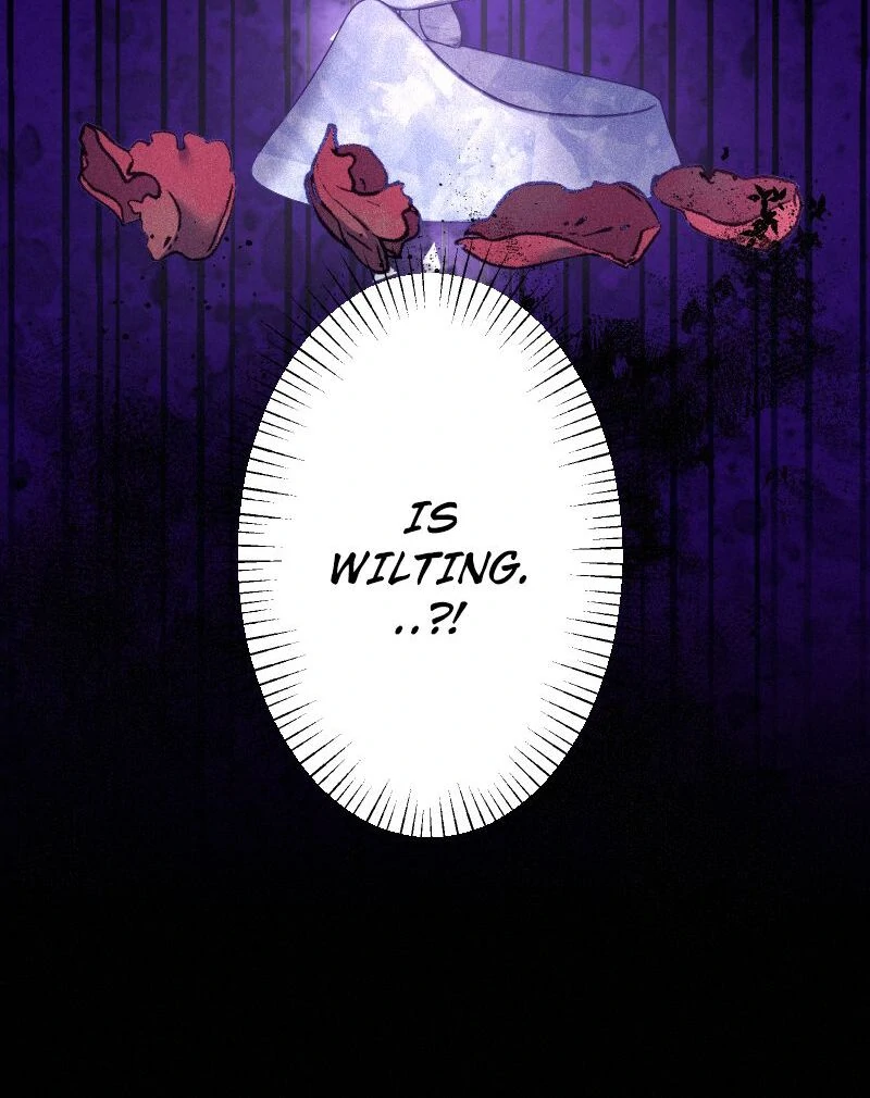 The Abandoned Saintess' Vow: To Deny the Prince's Love in Her Next Life Chapter 29 - page 84