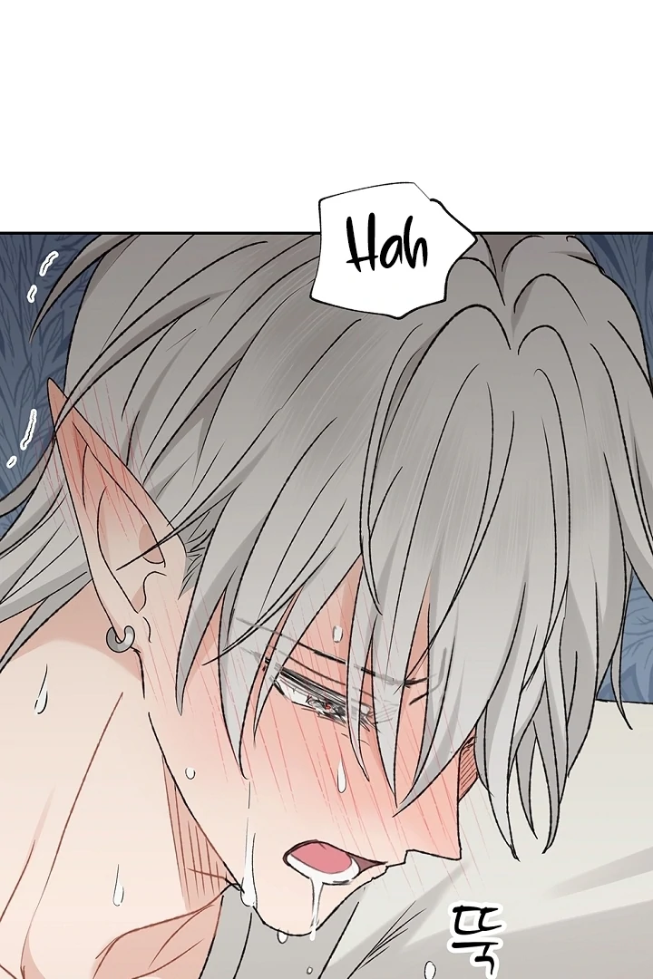 The Mating of Elves Chapter 40 - page 34