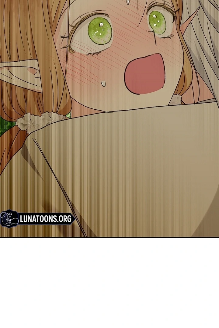 The Mating of Elves Chapter 40 - page 45