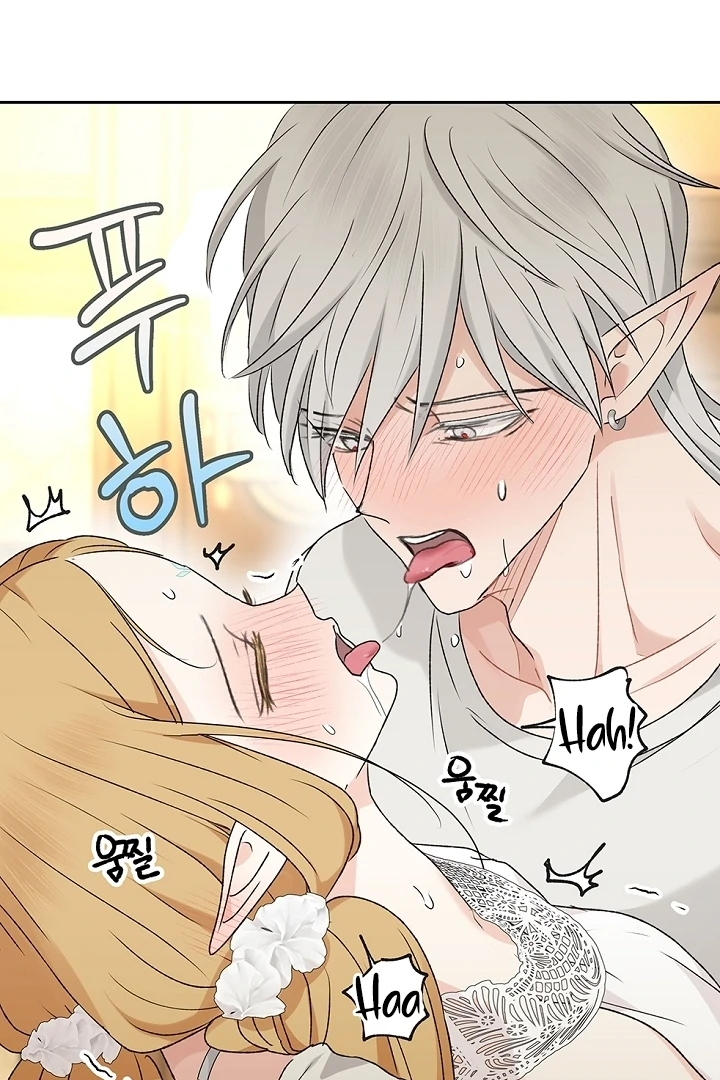 The Mating of Elves Chapter 40 - page 62