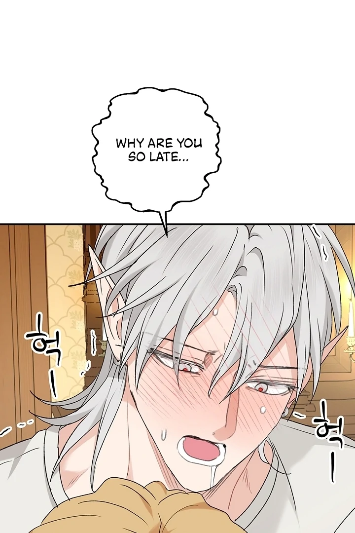 The Mating of Elves Chapter 40 - page 65