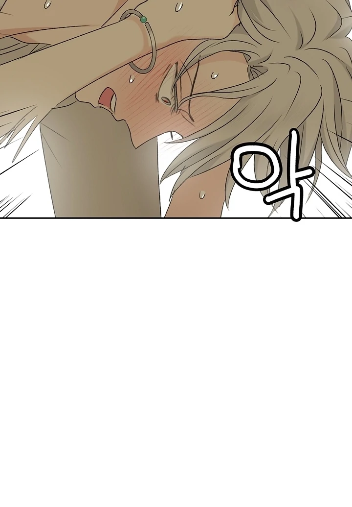 The Mating of Elves Chapter 40 - page 81