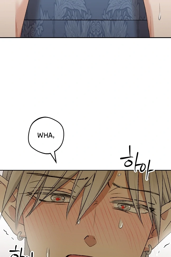 The Mating of Elves Chapter 40 - page 90