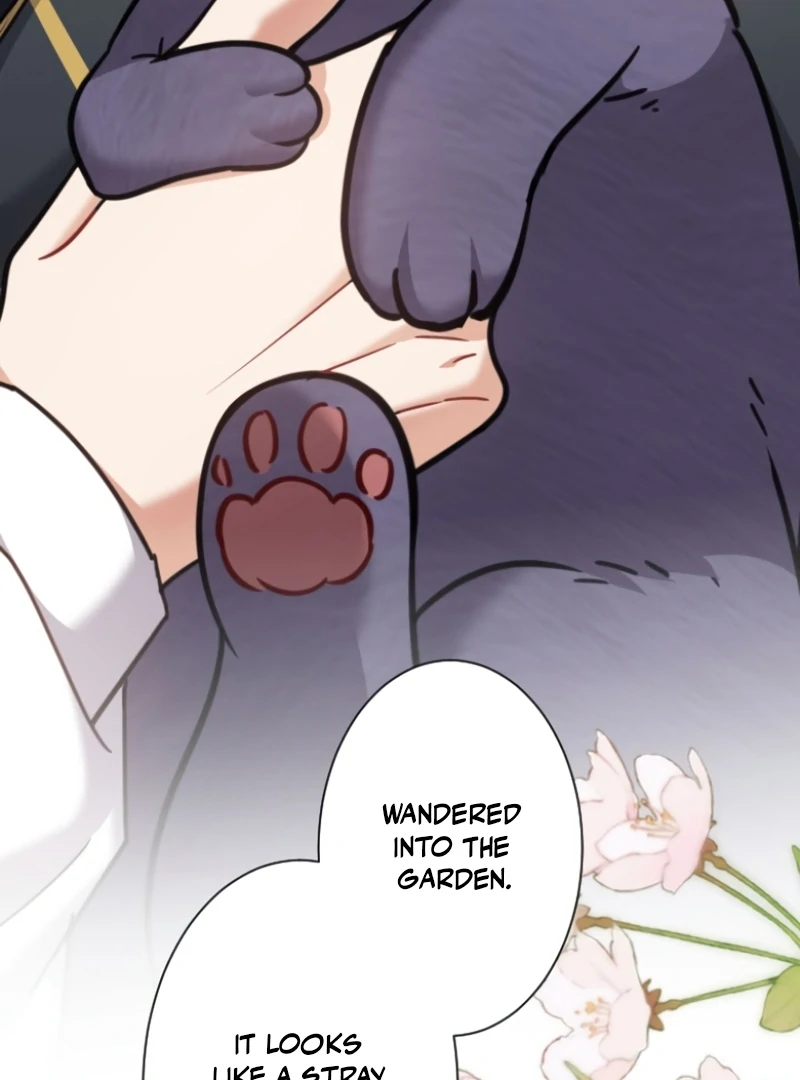 I Became A Tutor To Protect My Sister Chapter 6 - page 79