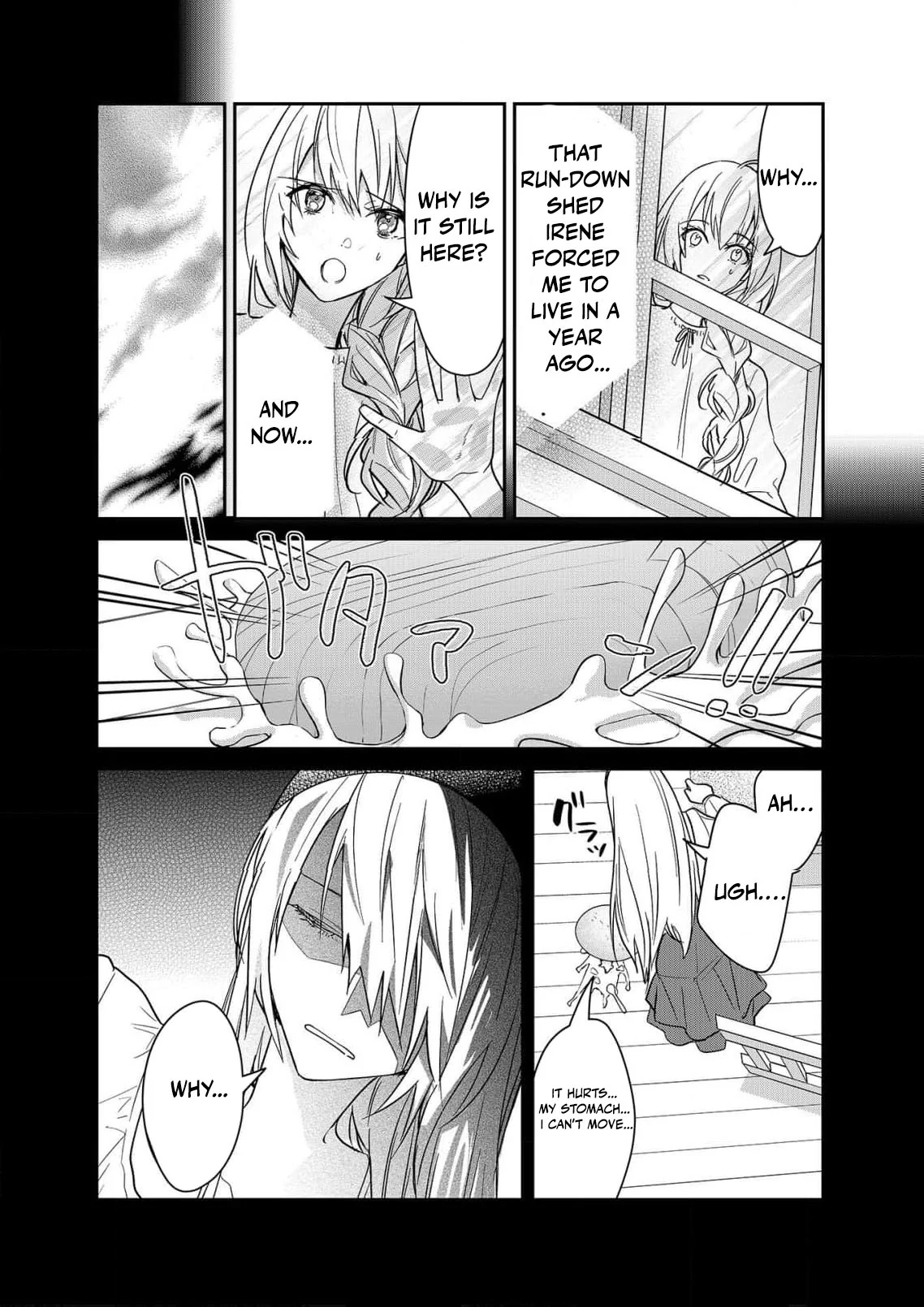 Revenge of the Fallen Aristocrat Chapter 2 - page 14