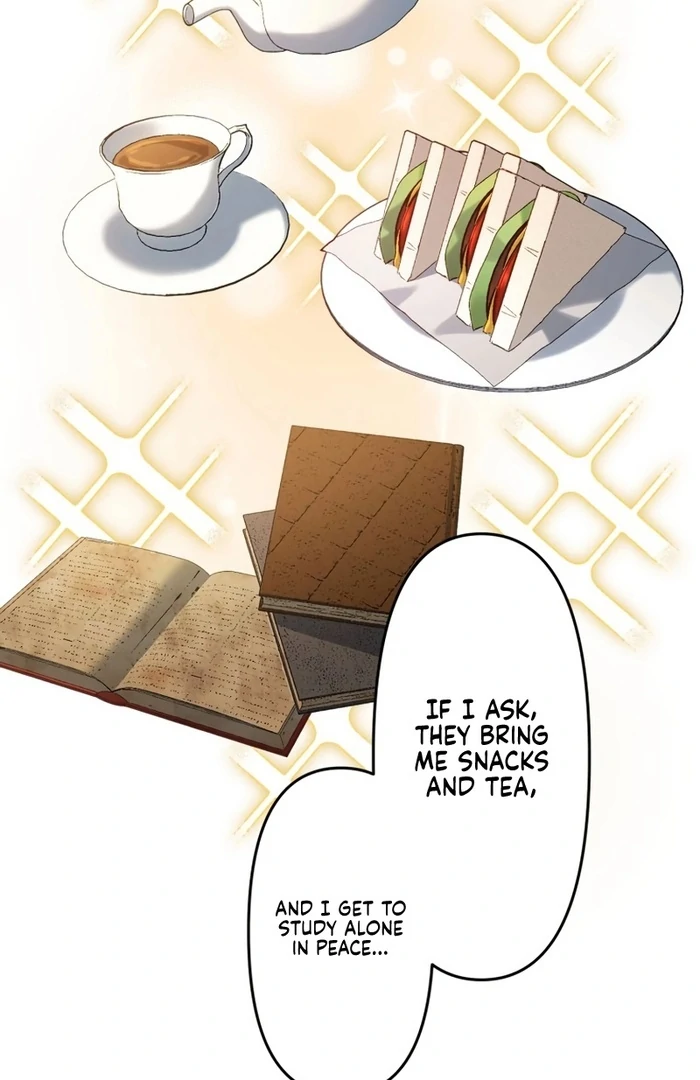 The Substitute Adopted Daughter is Finally Free! Chapter 23 - page 46
