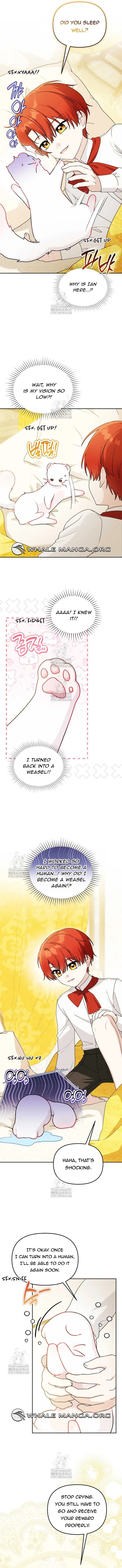 The Villain’s Daughter in law is Inherently Powerful Chapter 23 - page 11