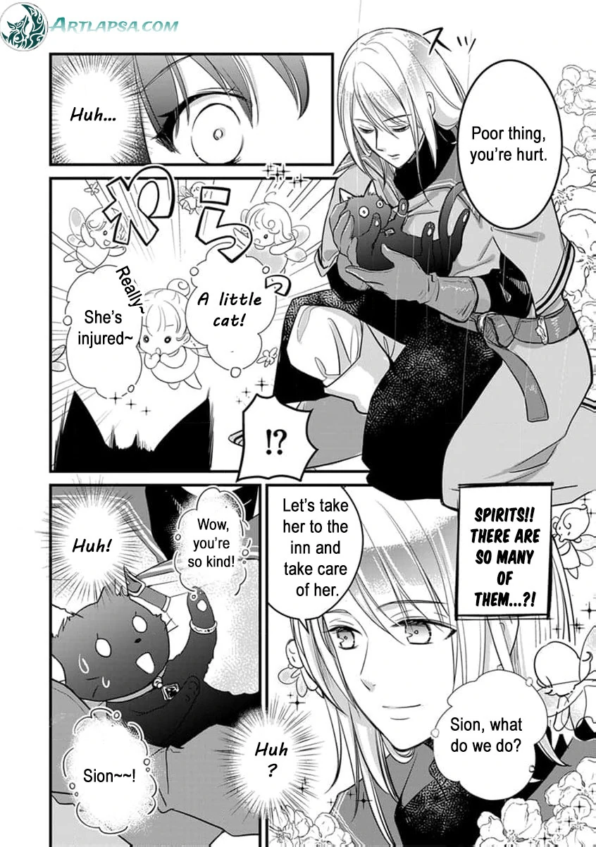 The Former Witch’s Journey to the Land of Magic Chapter 1 - page 9