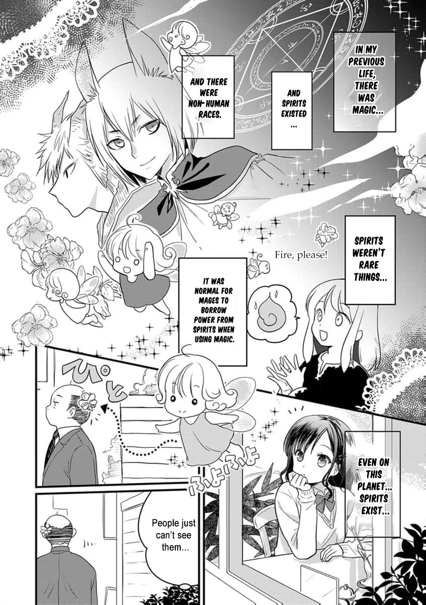 The Former Witch’s Journey to the Land of Magic Chapter 1 - page 15