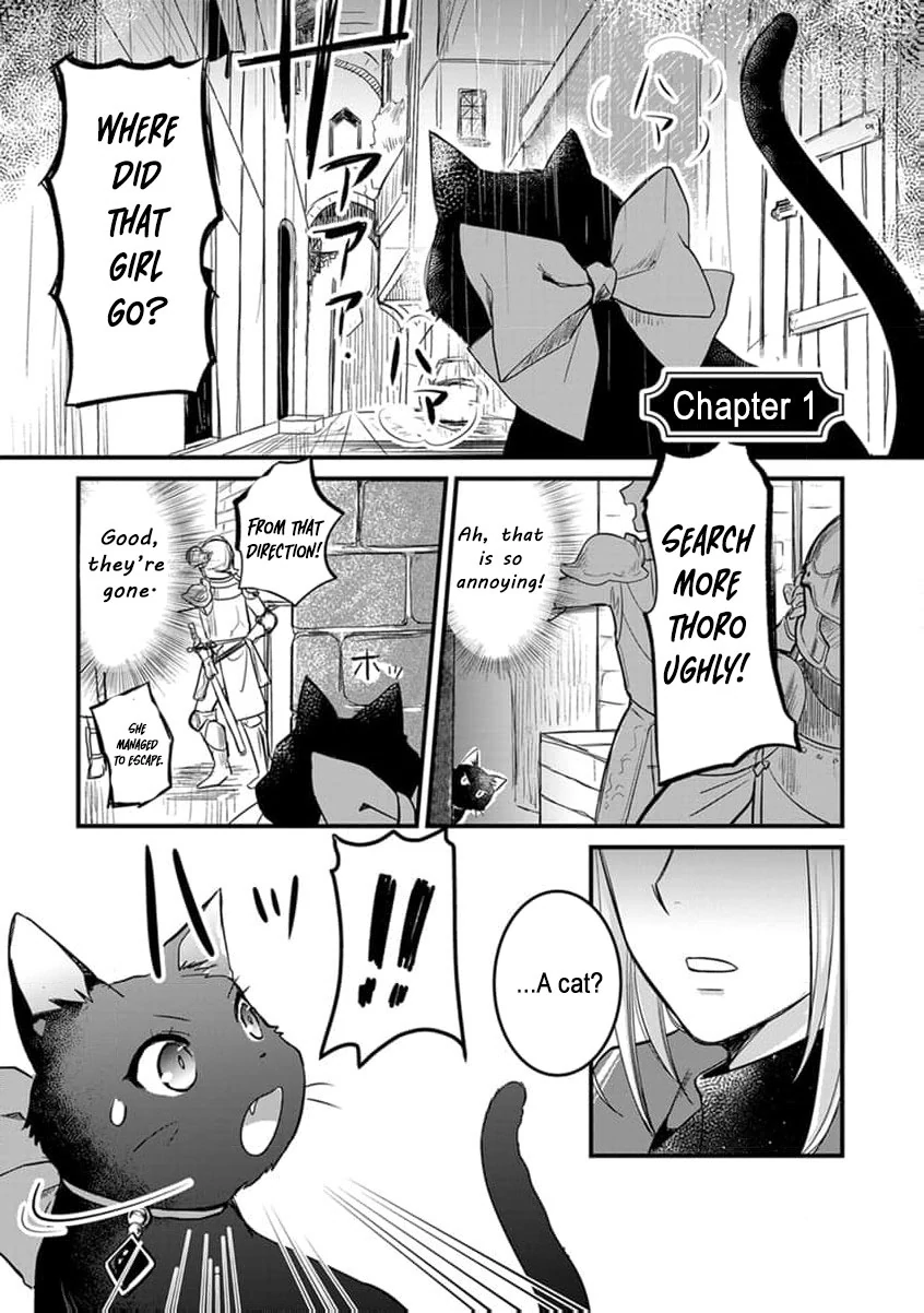 The Former Witch’s Journey to the Land of Magic Chapter 1 - page 6