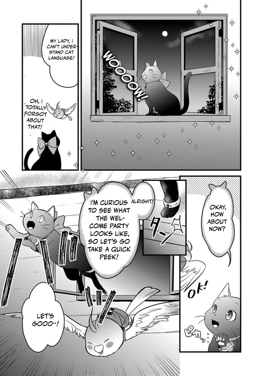 The Former Witch’s Journey to the Land of Magic Chapter 5 - page 25