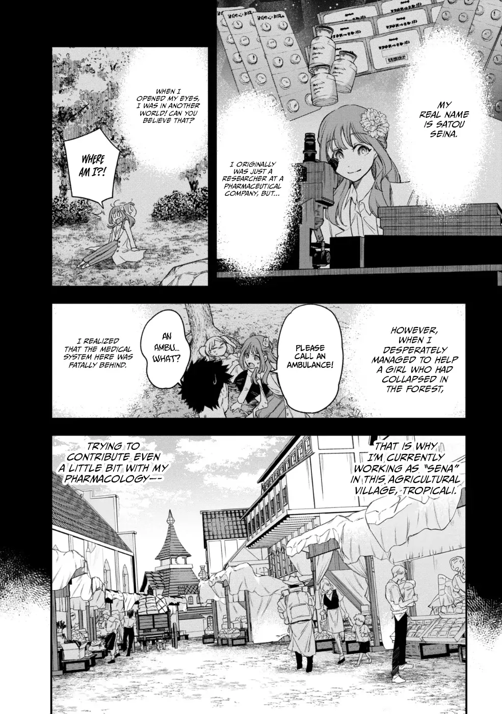 The Pharmacist and the Demon King Chapter 1 - page 9