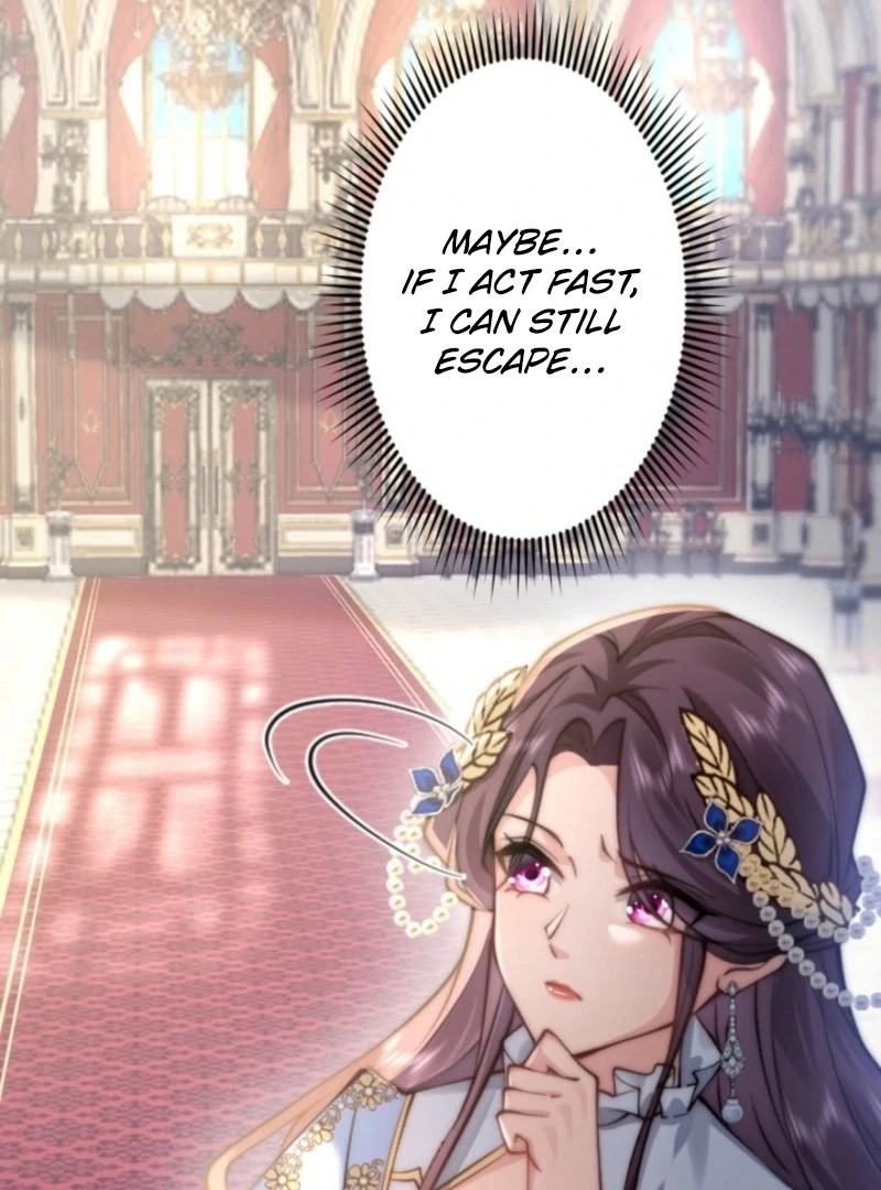 The Dowager’s Radiant Rise Chapter 1 - page 19