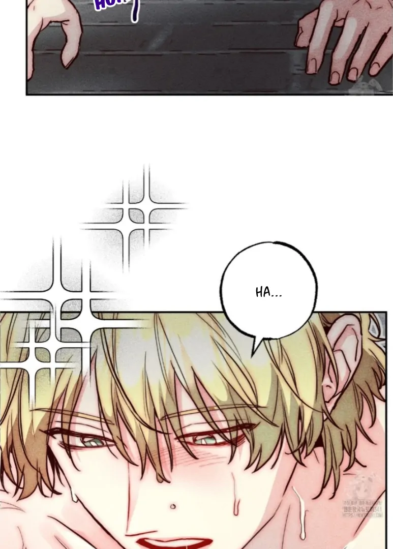 Collecting the Male Leads' First Nights Chapter 5 - page 15