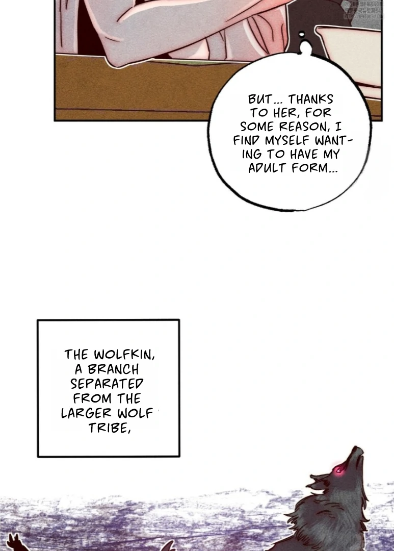 Collecting the Male Leads' First Nights Chapter 6 - page 45