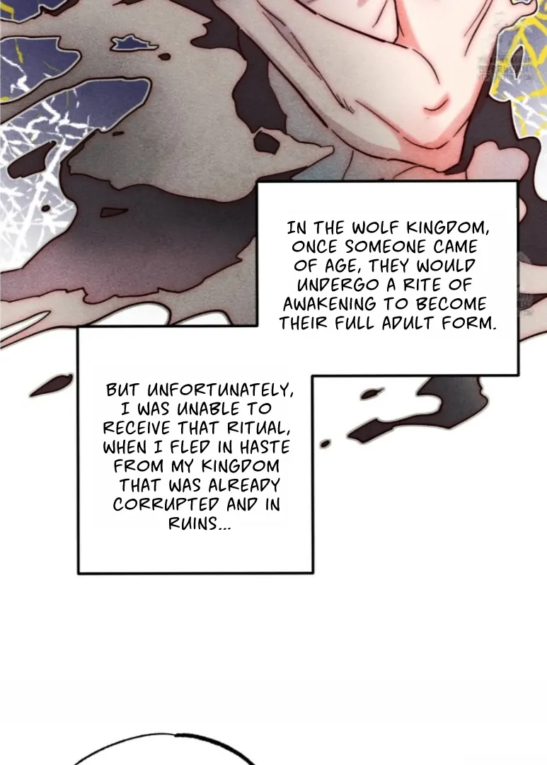 Collecting the Male Leads' First Nights Chapter 6 - page 48