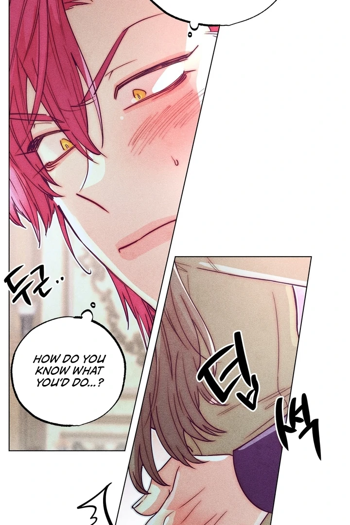 Collecting the Male Leads' First Nights Chapter 14 - page 17