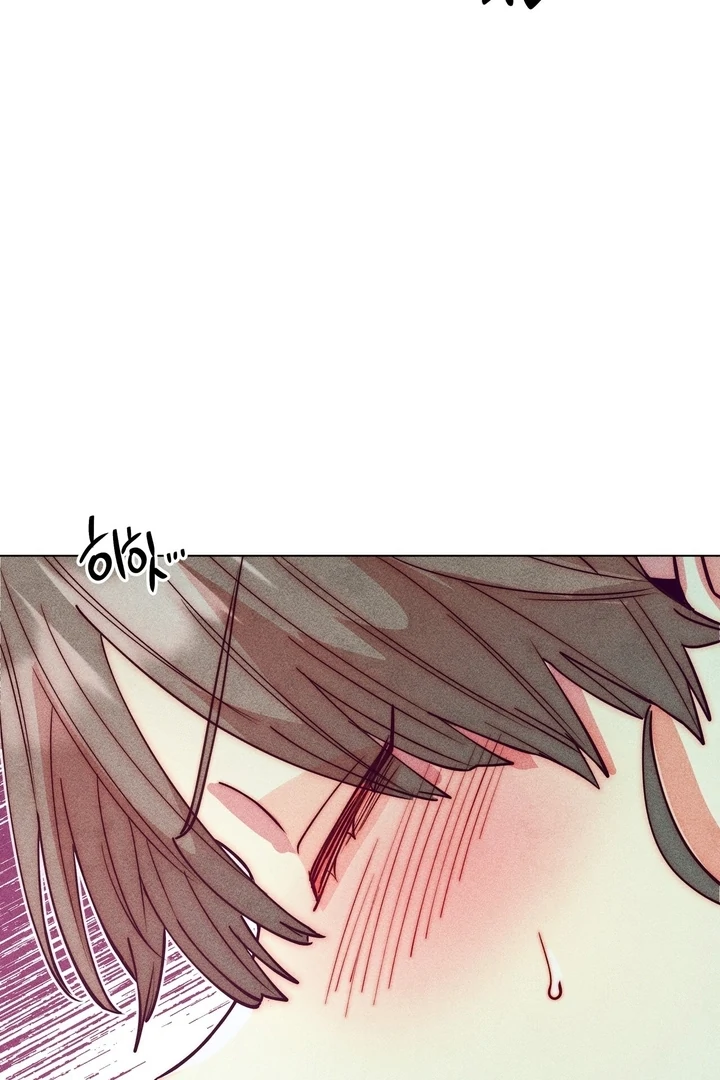 Collecting the Male Leads' First Nights Chapter 14 - page 25