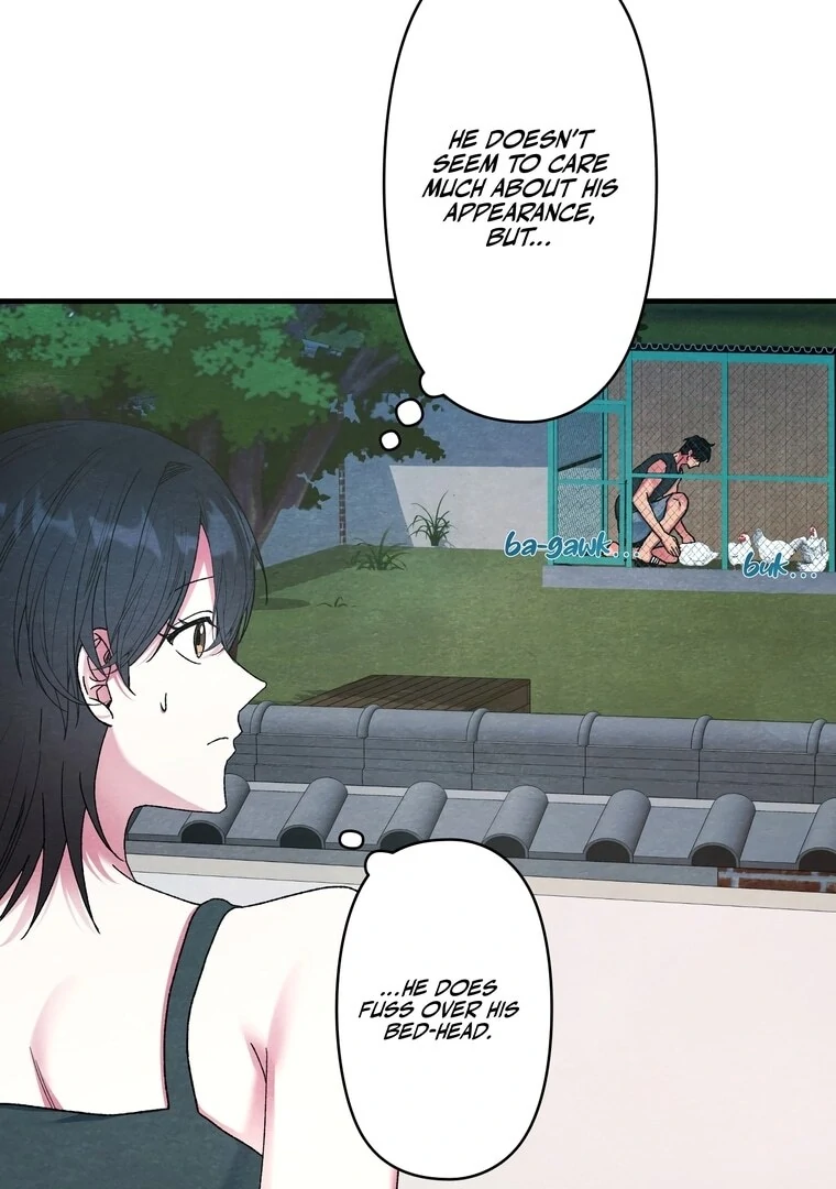 To My Apricot Hill Chapter 3 - page 35