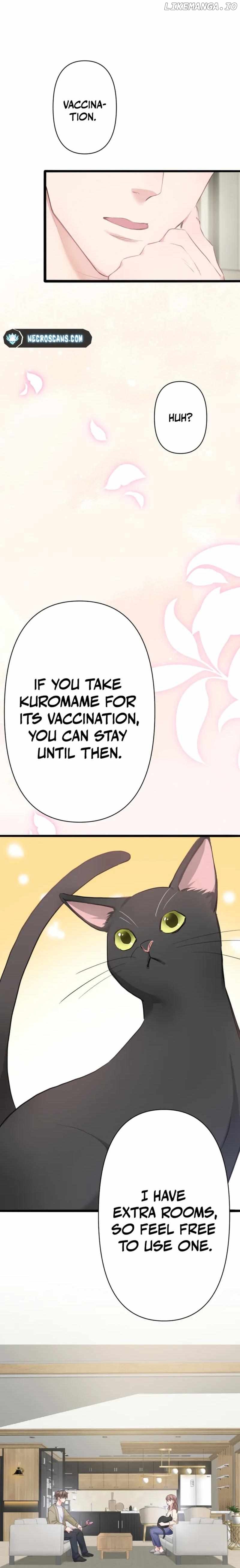 My Boss, the Ideal Man, Dotes on Me Chapter 2 - page 18